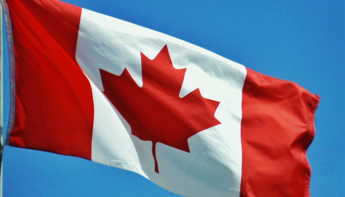 万能开挂辅助“小宝跑得快可以开挂吗”详细开挂玩法