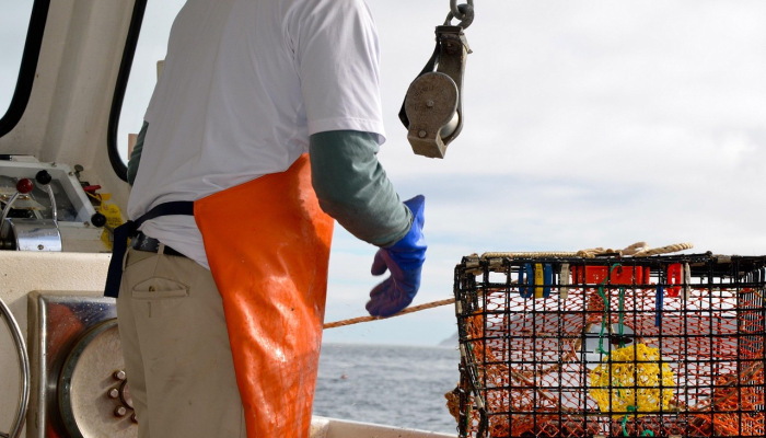 犹他州警方称,一名儿童因乞求食物和水而被胶带捆住,导致家庭视频博主被捕 犹他州警方称,一名儿童因乞求食物和水而被胶带捆住,导致家庭视频博主被捕
