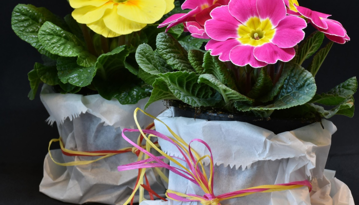 野村证券(Nomura)预计,由于宏观经济强劲、通胀缓解、收益改善,Nifty今年将上涨12% 野村证券(Nomura)预计,由于宏观经济强劲、通胀缓解、收益改善,Nifty今年将上涨12%