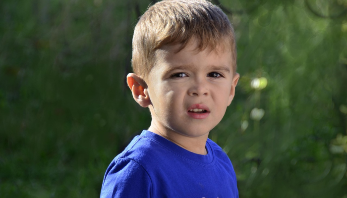 PAS议员希望取消由Hrithik Roshan举办的star On Fire演唱会