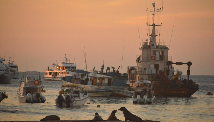 玩家必看教程“雀神麻将外卦神器下载安装”分享用挂教程
