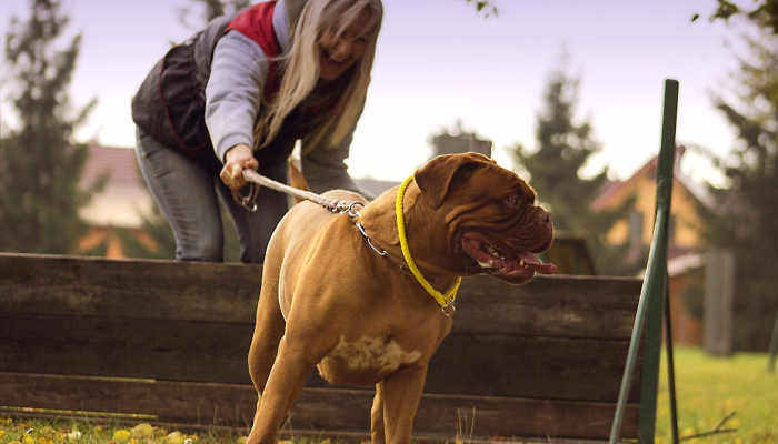 推荐一款”人皇大厅辅助挂专用版!分享用挂教程 推荐一款”人皇大厅辅助挂专用版!分享用挂教程