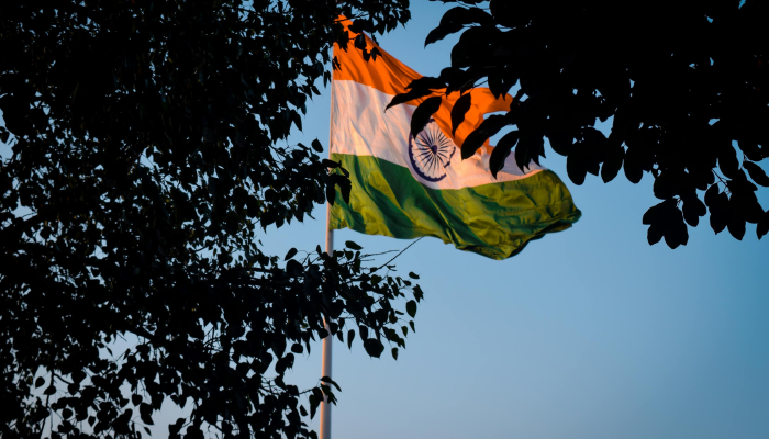 最新教你“微乐联盟开挂”(曝光透视必备猫腻) 最新教你“微乐联盟开挂”(曝光透视必备猫腻)