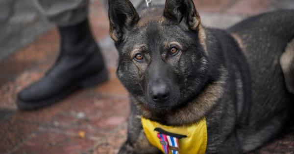 教程辅助!“春天扑克开挂!分享用挂教程 教程辅助!“春天扑克开挂!分享用挂教程