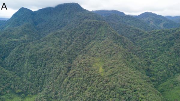 开挂辅助工具“天天斗地主真人版透视神器”开挂(透视)辅助教程 开挂辅助工具“天天斗地主真人版透视神器”开挂(透视)辅助教程