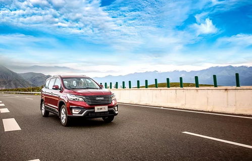 辅助神器“多乐跑得快16张开挂神器”(原来确实是有挂)