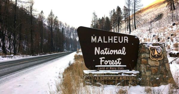 埃德蒙顿的2个营地在周六和周日撤离