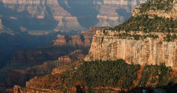 埃德蒙顿的2个营地在周六和周日撤离