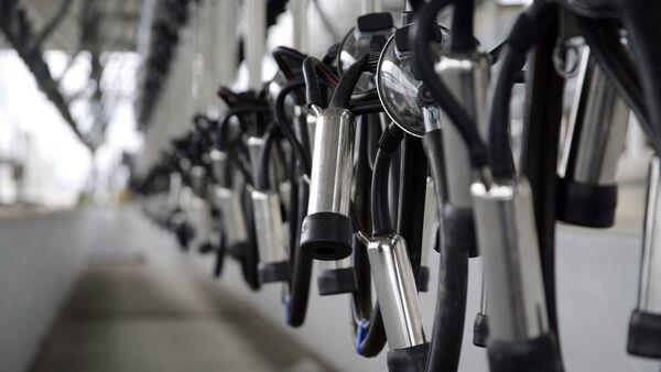 加工商控制着10月份的牛奶价格