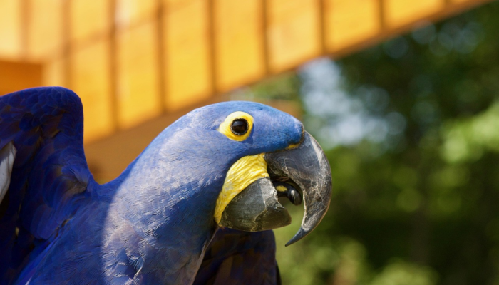 早期预警信号确定-新研究将血压波动与痴呆症联系起来 早期预警信号确定-新研究将血压波动与痴呆症联系起来