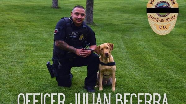 可用版本“七彩云南游戏有挂吗!详细分享装挂步骤