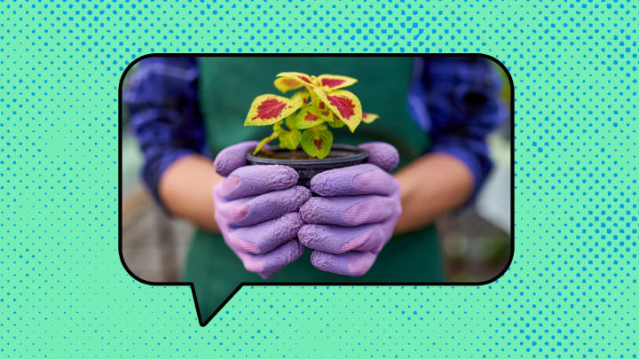 Time to nip some buds. Time to nip some buds.