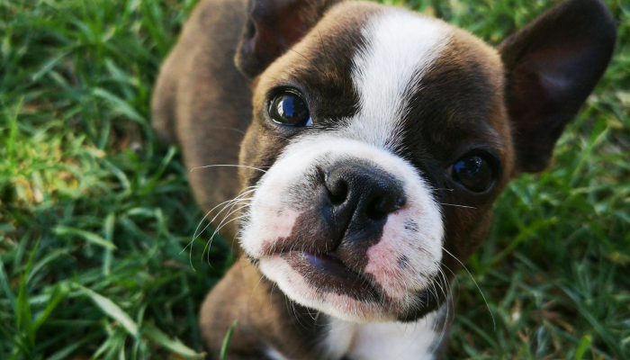 JCS:朝鲜向东海发射了多枚短程弹道导弹 JCS:朝鲜向东海发射了多枚短程弹道导弹