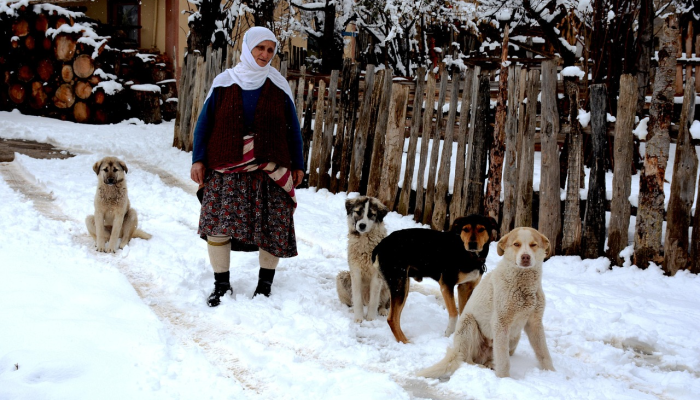 来认识一下治疗犬杜克吧:想当表演犬的人喜欢安慰别人 来认识一下治疗犬杜克吧:想当表演犬的人喜欢安慰别人