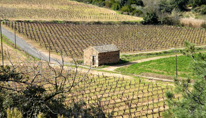 法国将在冬季前延长其最后一批燃煤电厂的寿命