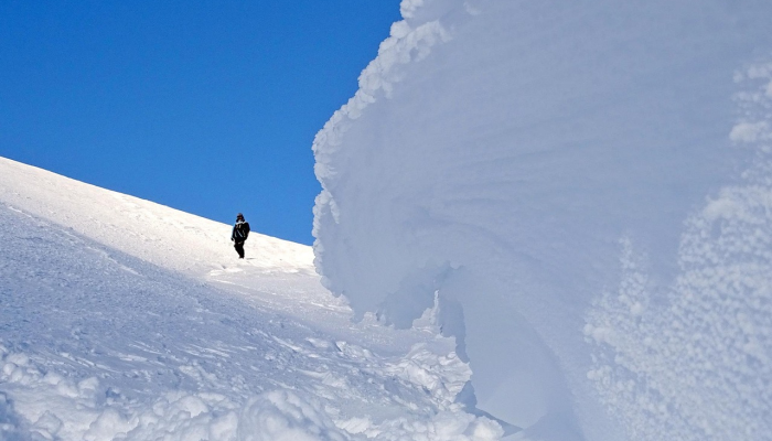 本周费城会有多冷，谁下的雪最多？