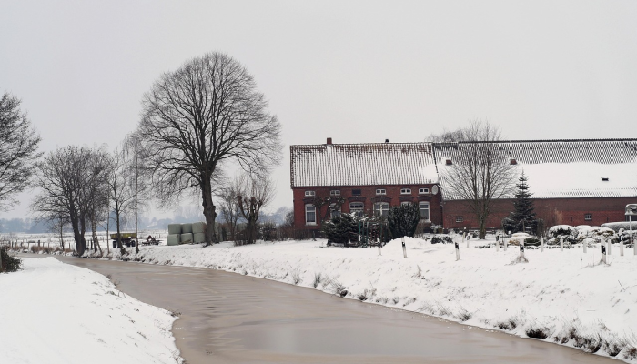 推荐一款”西兵互娱破解免费的”其实确实有挂 推荐一款”西兵互娱破解免费的”其实确实有挂