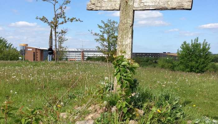 森那美种植园的劳动力短缺问题已经解决