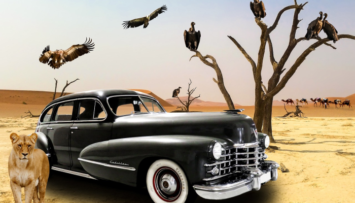 汽车之家诈骗犯在抢劫大篷车车主后拿走了34.7万英镑 汽车之家诈骗犯在抢劫大篷车车主后拿走了34.7万英镑