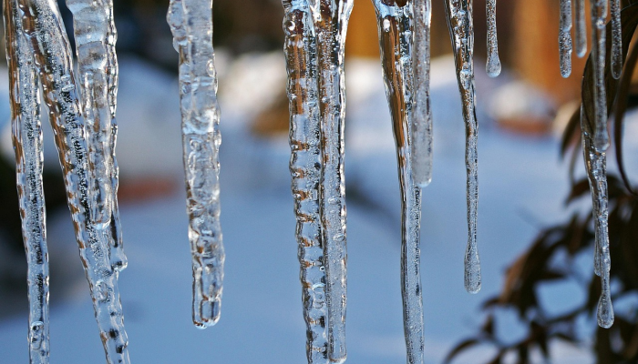 玩家必看教程“天天贵阳麻将挂先试用后付款”分享用挂教程 玩家必看教程“天天贵阳麻将挂先试用后付款”分享用挂教程
