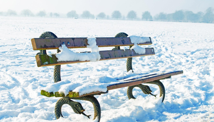 珀斯虐待动物:一名男子承诺照顾自己的狗,却把它锁在洗衣房四天,被罚款 珀斯虐待动物:一名男子承诺照顾自己的狗,却把它锁在洗衣房四天,被罚款