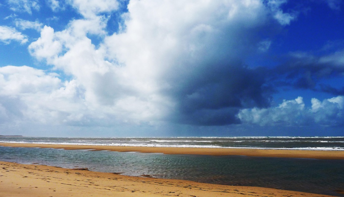 民都洛岛漏油事件可能影响21个受保护海域 民都洛岛漏油事件可能影响21个受保护海域