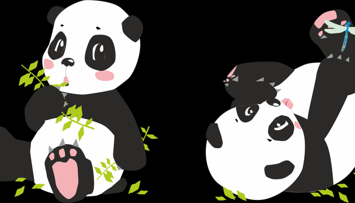 熊把人扔过车库，咬他的头：“我被揍了一顿”