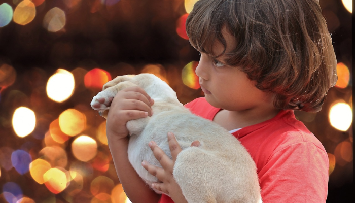 辅助神器“欢乐龙城3棋牌安卓免费挂”(曝光透视必备猫腻) 辅助神器“欢乐龙城3棋牌安卓免费挂”(曝光透视必备猫腻)