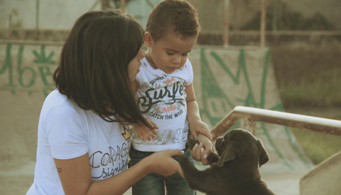 教程辅助!“友友联盟牛牛有挂吗!详细分享装挂步骤 教程辅助!“友友联盟牛牛有挂吗!详细分享装挂步骤