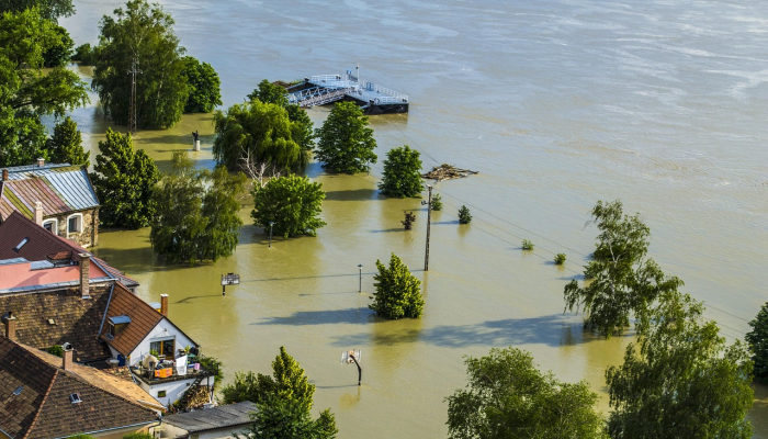辅助神器“福建天天开心十三水窍门”(曝光透视必备猫腻)