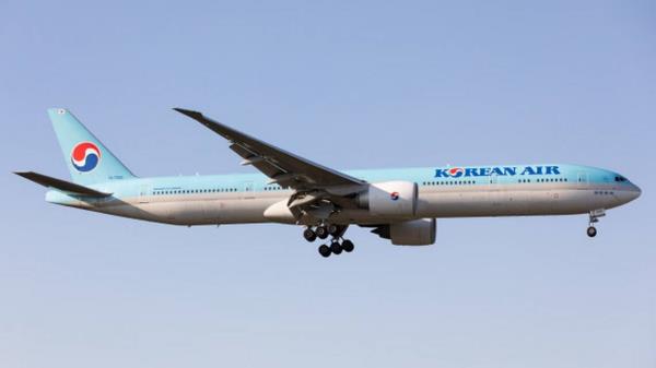 保持“Yassai Hossai”传统的活力 保持“Yassai Hossai”传统的活力