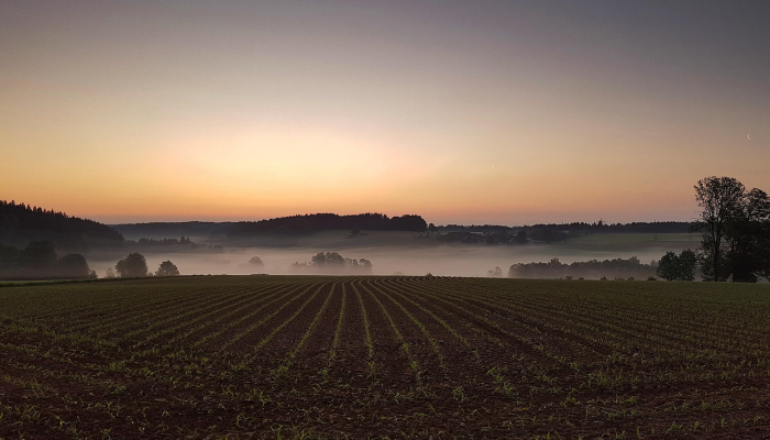 玩家辅助神器：“网易棋牌如何开挂”其实确实有挂