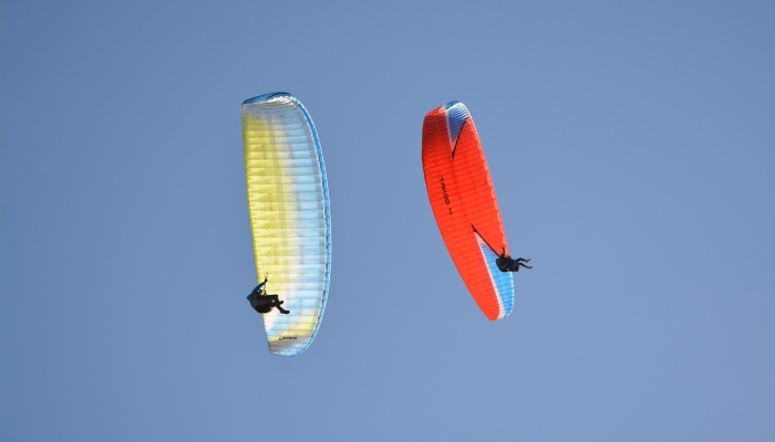 DNA启示：“灭绝”的鱼活得很好!