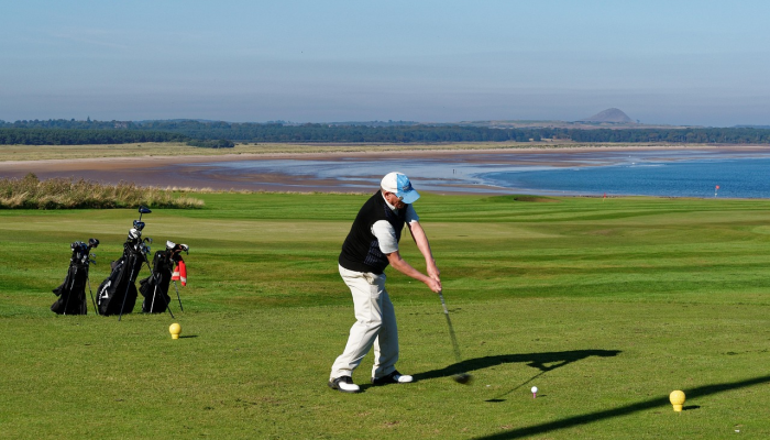 录像:放归野外的褐鹈鹕_2 录像:放归野外的褐鹈鹕_2