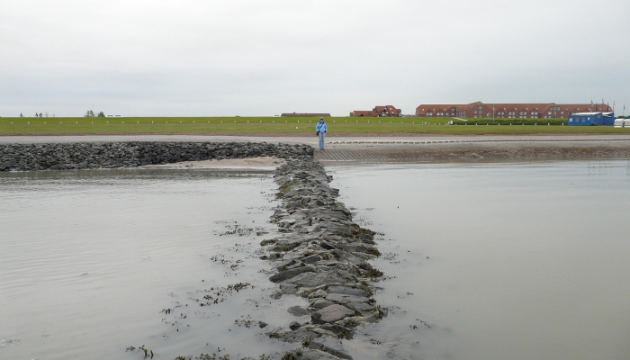 奎松岛因恶劣天气停课 奎松岛因恶劣天气停课