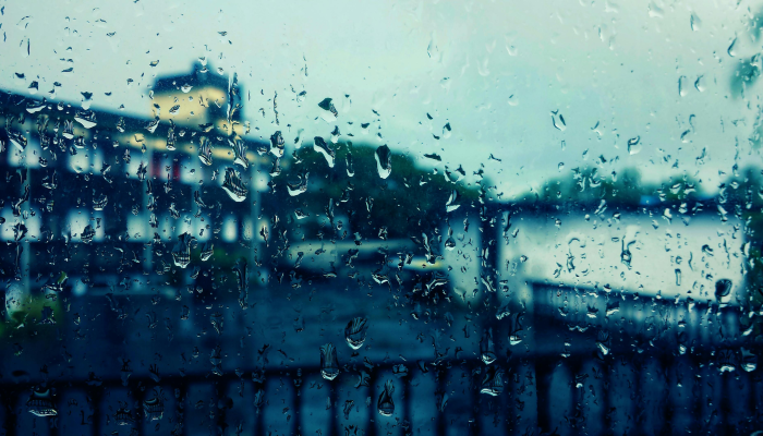 新闻18晚间文摘：登陆进程继续，受雨袭击的金奈学校明天关闭，以及其他头条新闻