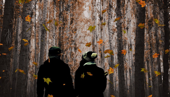 2024年,DSG vs JSK 2024年,DSG vs JSK