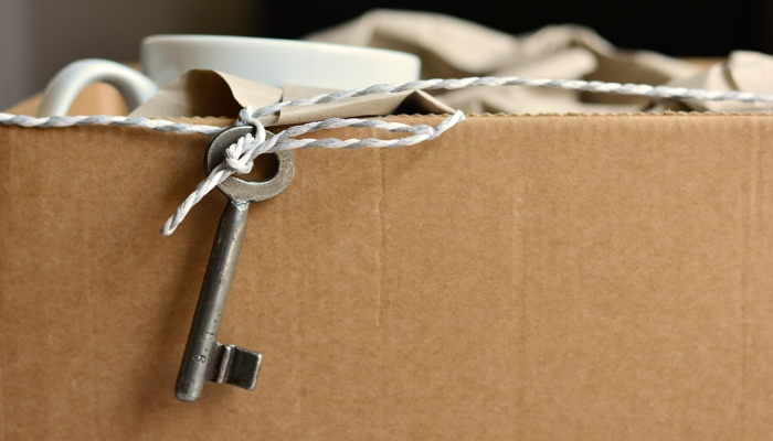 辅助神器“椰子乐动辅助!详细分享装挂步骤