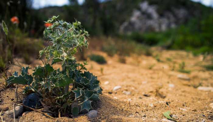 推荐一款”天涯麻将开挂神器下载安装”详细开挂玩法 推荐一款”天涯麻将开挂神器下载安装”详细开挂玩法