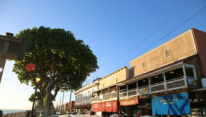 国家新闻社:一对夫妇把校车改装成移动公寓 国家新闻社:一对夫妇把校车改装成移动公寓