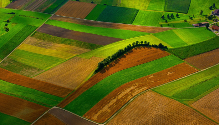 德里的空气质量再次“严重”，农场火灾是主要原因