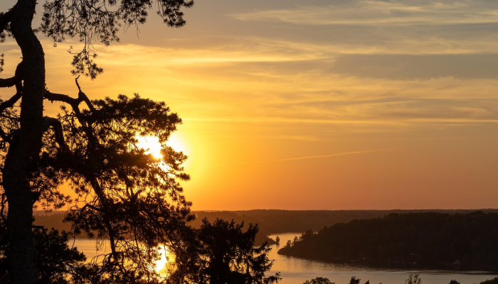 1分钟学会“乐趣江苏麻将怎么开挂”分享用挂教程