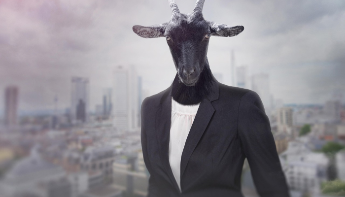 曼奇尼说，沙特在亚洲杯上谁也不怕