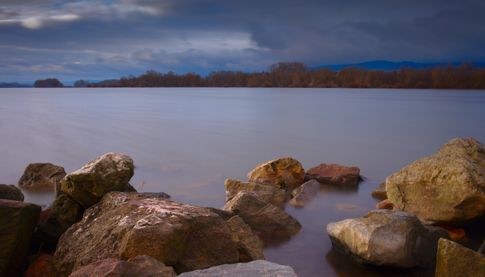 DEQ监测新伯尔尼附近Neuse河正在发生的鱼类死亡 DEQ监测新伯尔尼附近Neuse河正在发生的鱼类死亡