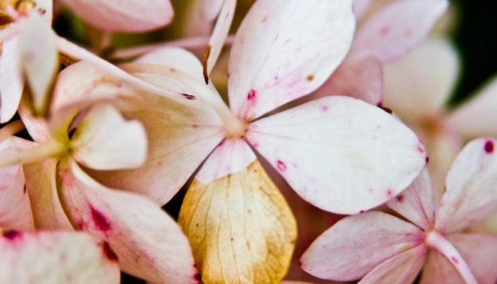 以下是我希望在我花了7年心碎的时间想要个孩子之前就知道的事情