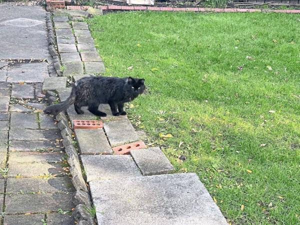 辅助神器“福建大玩家十三水辅助”(原来确实是有挂)