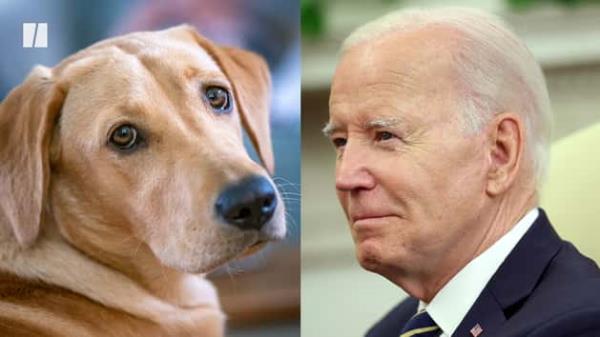 报告:印度央行将利率维持在6.50%至2024年年中,预计第三季度降息 报告:印度央行将利率维持在6.50%至2024年年中,预计第三季度降息