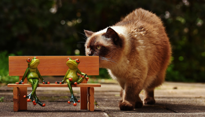 教程辅助!“哈哈长沙麻将开挂最新版本更新内容”(曝光透视必备猫腻) 教程辅助!“哈哈长沙麻将开挂最新版本更新内容”(曝光透视必备猫腻)