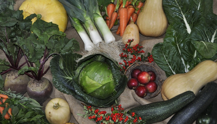 实验室培育的肉是洁食吗? 实验室培育的肉是洁食吗?