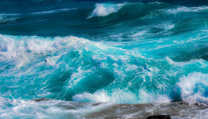 1分钟学会“心悦踢坑总输怎么回事!详细分享装挂步骤